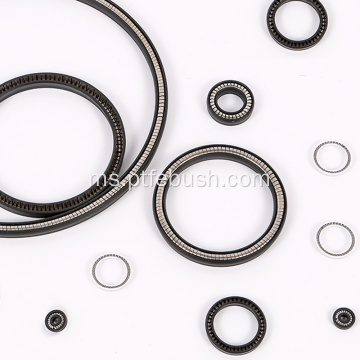 Bahan PTFE Spring Spring Energized Seal